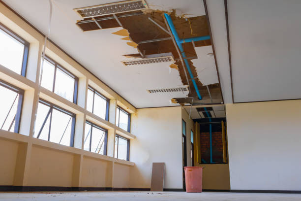 Best Commercial water damage restoration  in Honey Grove, TX