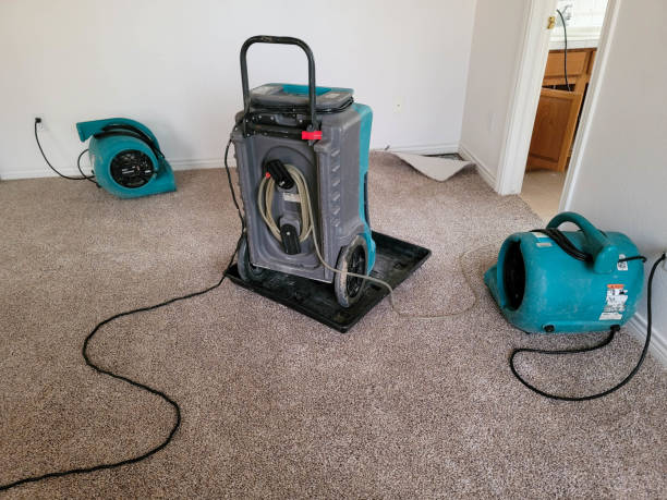 Best 24-hour water damage restoration  in Honey Grove, TX