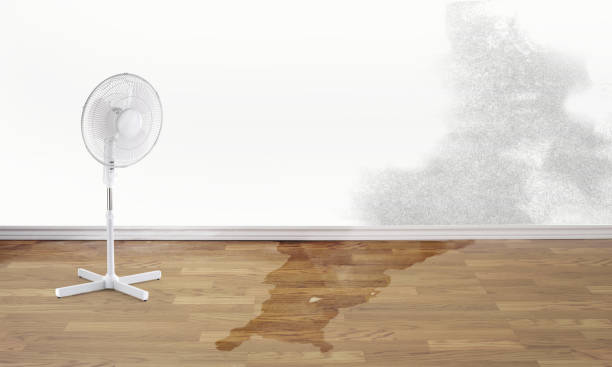 Best Water damage restoration near me  in Honey Grove, TX