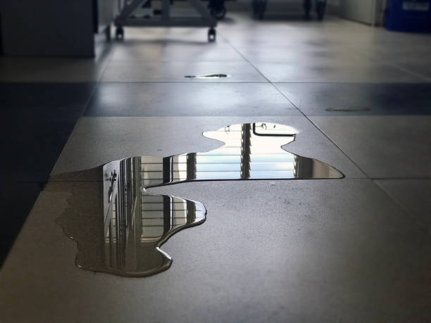 Best 24/7 water damage repair  in Honey Grove, TX