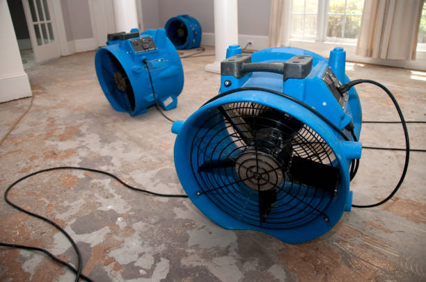 Best 24/7 water damage repair  in Honey Grove, TX