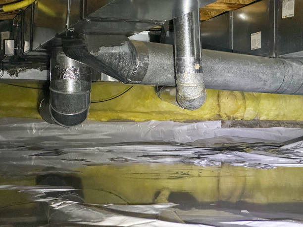 Best Water damage cleanup near me  in Honey Grove, TX
