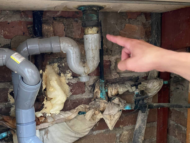 Trusted Honey Grove, TX Water damage restoration Experts